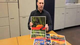 Printing Xerox Digital Flexible Magnet Media on an iGen4