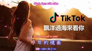 Bay Qua Đại Dương Để Gặp Anh 《漂洋过海来看你》  Tik Tok,nhac hoa, nhạc tiktok 2019