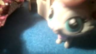 LPS: как я делаю уроки?!??