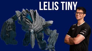 Lelis 8k mmr tiny 7.23
