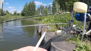 Карась порвал оснастку, пришлось нырять, подводные съёмки, GoPro, Херабуна, рыбалка 2018