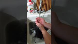 Чёрная вода