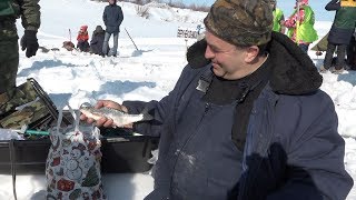 Верхнеколымский чебак