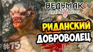 ТРОЛЛЬ ДОБРОВОЛЕЦ ► Прохождение "Ведьмак 3: Дикая Охота" #75