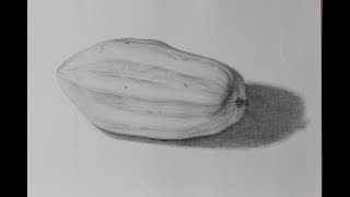 Рисунок кабачок / Drawing marrow squash