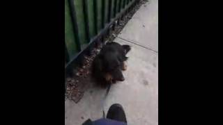 2016.05.18 02 Трансляция Перископ Архив