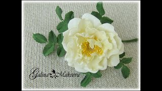 МК РОЗА СПЕРАНЦА ИЗ ФОАМИРАНА