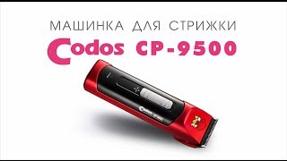 Codos CP-9500 машинка для стрижки собак, кошек видео