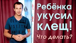 Ребенка укусил клещ. Что делать? Укус клеща и последовательность действий