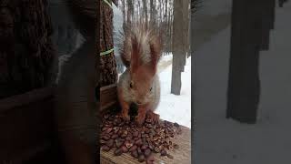Сидим. Едим / We are sitting. We're eating