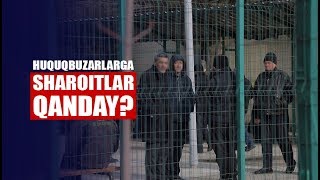 Toshkentda 15 sutkaga qamalganlar qay sharoitda saqlanadi? / «Панельний» hibsxonasi