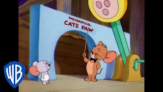 Tom & Jerry in italiano | Il Topo Istruito in Casa 