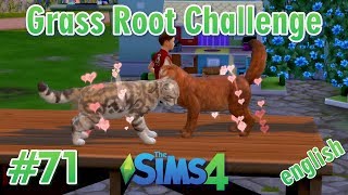 Sims 4 - Grass Root Challenge #71 - english - The cats are mating