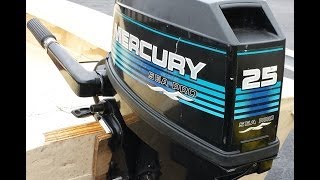 Mercury 25 Sea Pro 1999 Overview