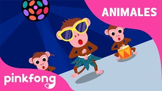 Mono Pícaro | ¡Bum chiqui bum! | Animales | Pinkfong Canciones Infantiles