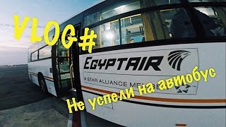 |VLOG| Остались жить в Египте!!