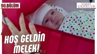 Songül’ün kardeşiyle tanıştınız mı? - Kırgın Çiçekler 90.Bölüm