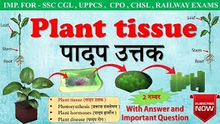 Plant tissue (पादप ऊतक)। plant cell। Type of plant tissue । For SSC CGL , class 9 [in hindi]