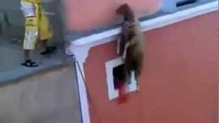Ghalasa Maroc Show HD - Part1