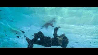 Most creative movie scenes from Alpha (2018)