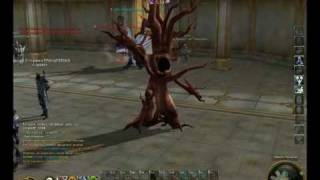 Spiritmaster PvP