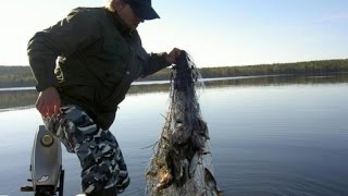 Браконьерские сети на Братском водохранилище.Иркутск