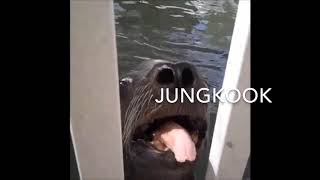 BTS as Vines (Animal Edition)