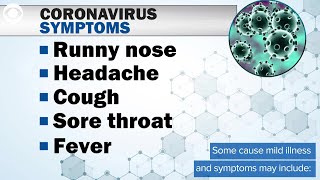 What Is The Coronavirus?