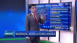 Waspada, Kedelai Kian Langka