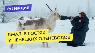Приключения на Ямале: в гостях у ненецких оленеводов