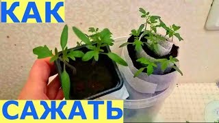 КАКИМИ СПОСОБАМИ сажать семена  НА РАССАДУ?