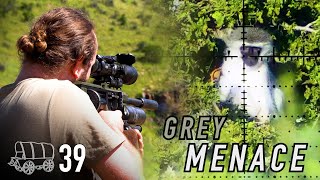 Sending Monkeys to Heaven | "Long Bombs & Hard Yards" - Oxwagon Diaries, pt.39
