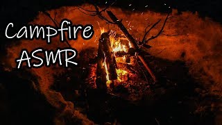 A Crackling Campfire During A Windy Winter Night - ASMR - 36 Minutes