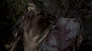 RE7 Intel® Pentium® Processor 2117U gpu Nvidia 710m 4 gb ram