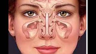 Masaje facial para la sinusitis. Facial massage for sinusitis. ECODAISY