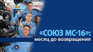 «Союз МС-16»: месяц до возвращения