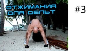 №3. Отжимания от пола для силы дельтовидных мышц плеча