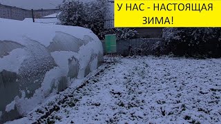 ОБЗОР 6 ОКТЯБРЯ - НАС ЗАВАЛИЛО СНЕГОМ! 