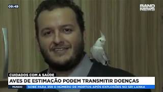 Aves de estimação podem transmitir doenças
