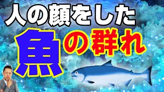 人の顔をした魚の群れ、空飛ぶベルマーク型ＵＦO、広島県府中市に出たヒバゴン？　ATL3rd 133