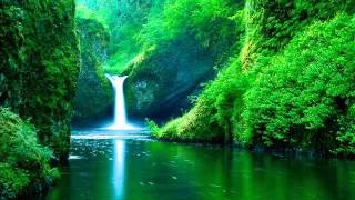 Sonido de agua y pajaros, estudiar, meditar, mente en blanco, pensar, sonidos relajantes