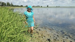Пляжная туника крючком из топа. Переделкино. Досмотри до конца и получи заряд положительных эмоций
