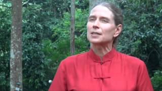 Frances Seymour: Why forests matter at Rio+20