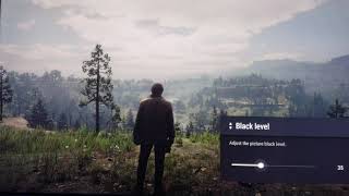 RED DEAD REDEMPTION 2 HDR SONY 900E GAME MODE SETTINGS