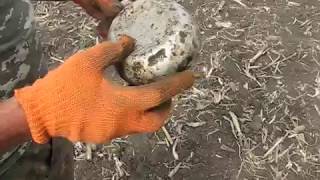 Советская алюминиевая фляга, каска, солдатский котелок - личные