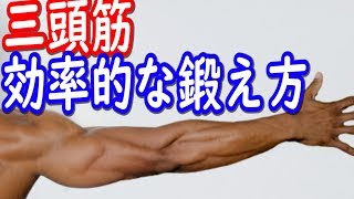 効率よく腕を太くする筋トレメニュー！