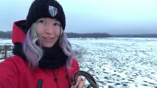 КоноVLOG || Влог от первого лица || Куккис сделала свой первый галоп ||