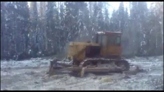 Бульдозер "сотка" против пней. Это не лопата!!!