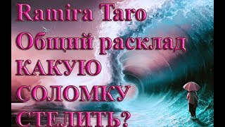 КАКУЮ СОЛОМКУ СТЕЛИТЬ?