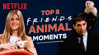 Top 8 Best Scenes | The One With All The Animals | Friends | Netflix India